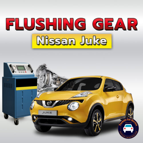 ฟลัชชิ่งเกียร์ Nissan Juke