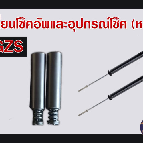 โช้คอัพและอุปกรณ์โช้ค (หลัง) MG ZS
